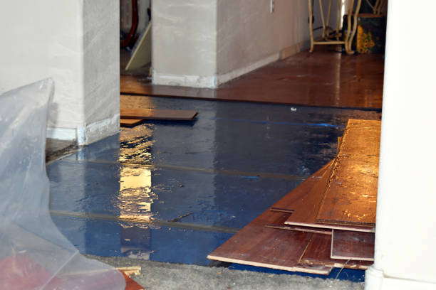 Professional Sewage Cleanup technician working in Highland, MD